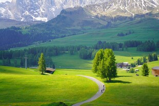 山间绿野中的蜿蜒小路