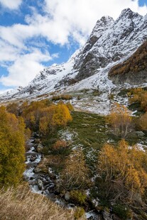 秋日雪山下的多彩山林