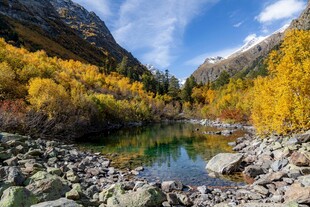 秋日山间清澈溪流美景