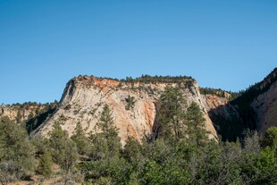 壮丽山景与葱郁植被