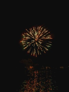 夜空中绚烂绽放的烟花