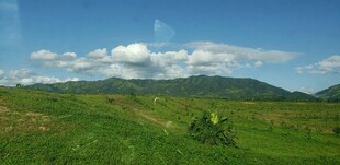 绿野青山间的开阔美景