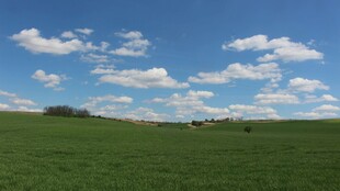 广袤绿野上的蓝天白云