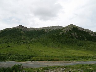 山间绿野公路风景