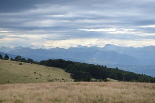 高山草甸上的壮丽山景
