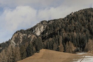山峦森林雪景自然美景