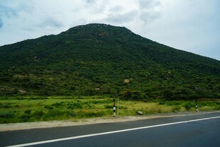 公路旁的青山绿意景观