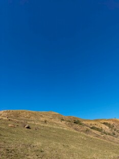 蓝天映衬下的开阔草地