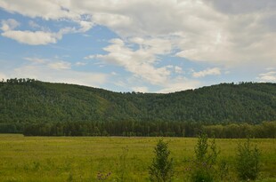 草原山林间的美丽风光