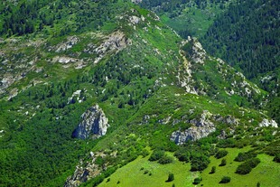 山峦绿野间的自然美景