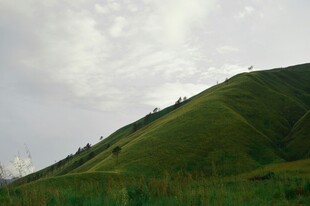绿意盎然的山坡景色