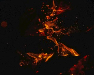 燃烧的火焰展现热烈之美