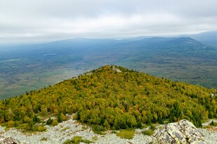 山巅绿意盎然的壮丽景观