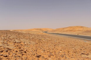 沙漠中的蜿蜒公路