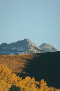 秋日山峦与金黄树林美景