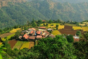 山间村落田园风光美景