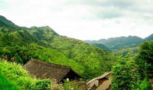 山间村落