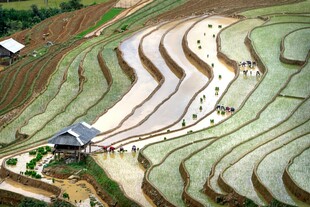 美丽梯田景观