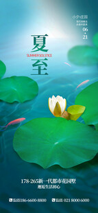 夏至时节荷塘双鸭图
