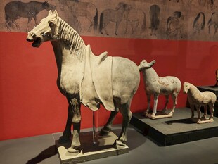 古代陶马雕塑展示