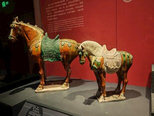 彩绘陶马文物展示