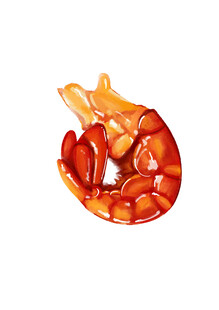 龙虾 虾尾