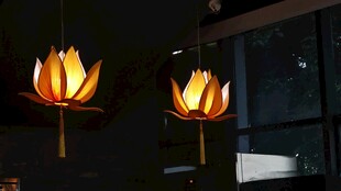 室内悬挂的精美莲花灯