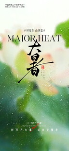 夏日荷花大暑海报