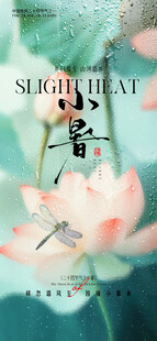 小暑荷花荷叶节气海报
