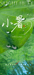 小暑大暑荷花荷叶节气海报