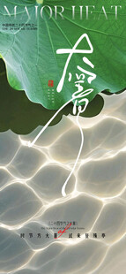 小暑大暑荷花荷叶节气海报