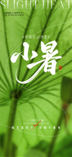 小暑大暑荷花荷叶节气海报