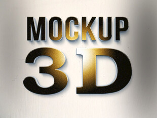3Dlogo样机