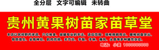 贵州苗药疑难杂症红底黄字门头