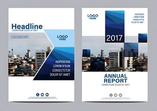 2017年度报告封面设计