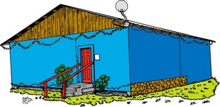 蓝色小屋前的绿植点缀