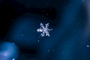 夜空中的晶莹雪花