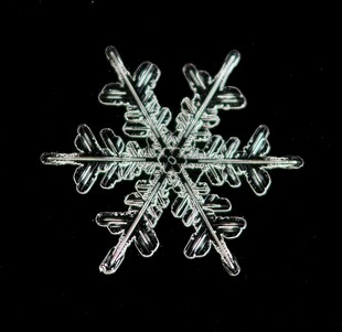 精致雪花图案
