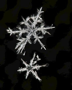 精致雪花晶体特写