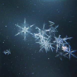 梦幻雪花在深色背景中飞舞