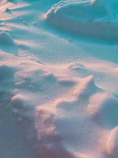 梦幻雪地
