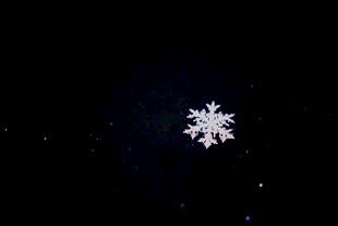 夜空中的唯美雪花