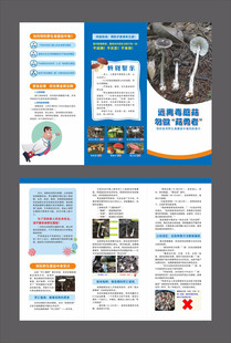 毒蘑菇折页