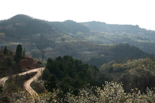 山间蜿蜒小路