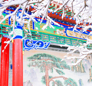 雪景