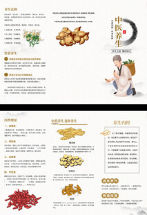 中医养生三折页