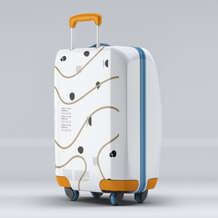 时尚图案行李箱