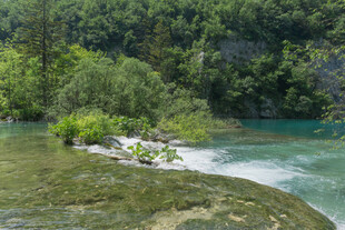 山间清澈溪流与葱郁植被