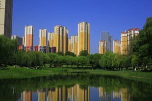 湖畔高楼林立的城市风光