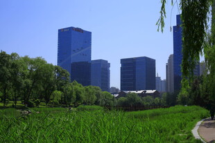 城市绿地旁的现代高楼景观